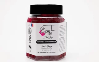 Boostez votre mémoire avec les gummies au Lion’s Mane de The Fun Guy