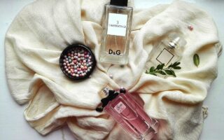 Tubéreuse : La fleur blanche aux parfums inoubliables